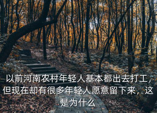 以前河南農村年輕人基本都出去打工，但現在卻有很多年輕人愿意留下來，這是為什么