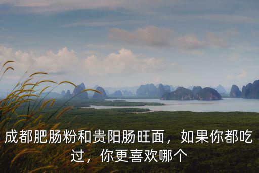 成都的貴陽腸旺面在哪里,成都肥腸粉和貴陽腸旺面