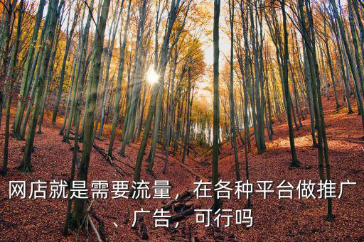 許昌精準推廣平臺流量怎么樣,在各種平臺做推廣