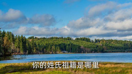 你的姓氏祖籍是哪里