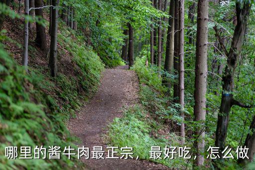 哪里的醬牛肉最正宗，最好吃，怎么做