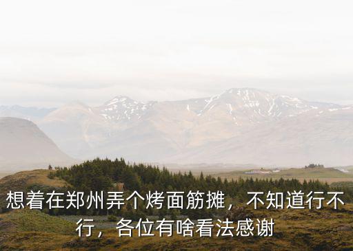 在鄭州做烤面筋怎么樣,想著在鄭州弄個烤面筋攤
