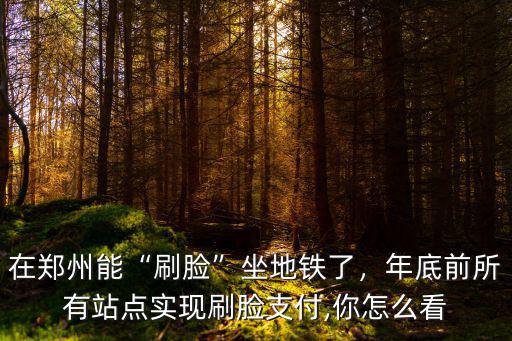 在鄭州能“刷臉”坐地鐵了，年底前所有站點(diǎn)實(shí)現(xiàn)刷臉支付,你怎么看