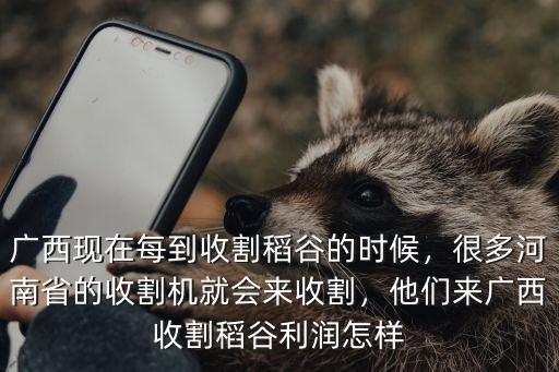 廣西現在每到收割稻谷的時候，很多河南省的收割機就會來收割，他們來廣西收割稻谷利潤怎樣