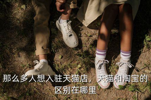 那么多人想入駐天貓店，天貓和淘寶的區別在哪里