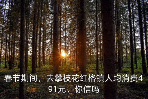 春節期間，去攀枝花紅格鎮人均消費491元，你信嗎