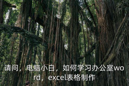 請問，電腦小白，如何學習辦公室word，excel表格制作
