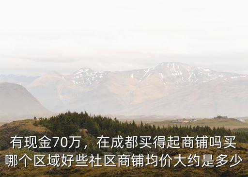 成都一手商鋪哪里好,成都投資商鋪去哪里比較好
