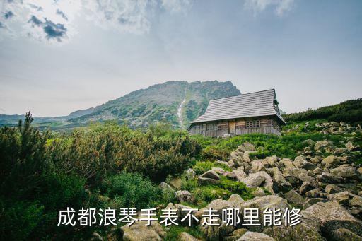 成都浪琴手表不走哪里能修