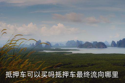 綿陽正規抵押車哪里能買到,抵押車可以買嗎