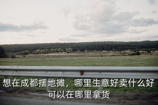 想在成都擺地?cái)偅睦锷夂觅u什么好可以在哪里拿貨