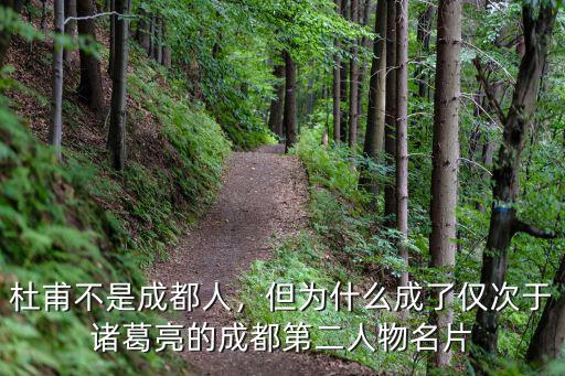 劉起濤哪里人成都人,杜甫不是成都人