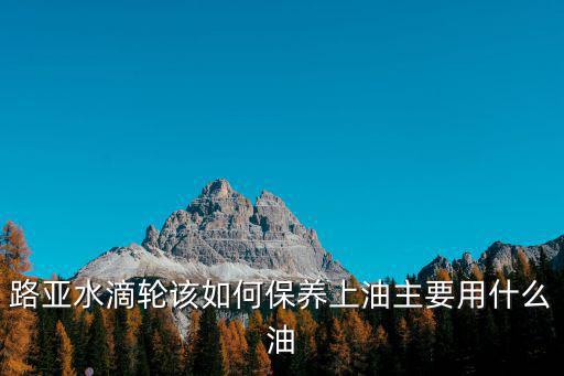 眉山哪里有保養水滴輪的,打黑水滴輪保養