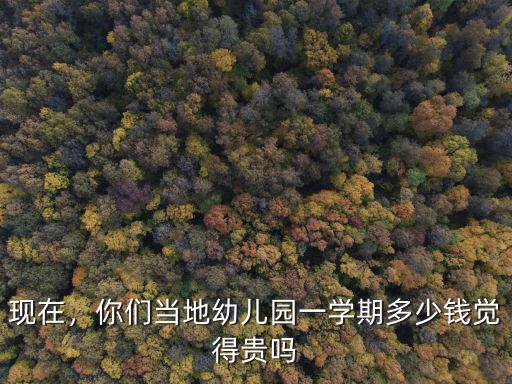 鄭州好的幼兒園費(fèi)用是多少錢啊,你們當(dāng)?shù)赜變簣@一學(xué)期多少錢