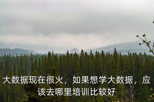 大數(shù)據(jù)現(xiàn)在很火，如果想學(xué)大數(shù)據(jù)，應(yīng)該去哪里培訓(xùn)比較好