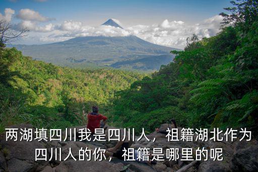 兩湖填四川我是四川人，祖籍湖北作為四川人的你，祖籍是哪里的呢