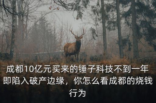 成都10億元買來的錘子科技不到一年即陷入破產邊緣，你怎么看成都的燒錢行為