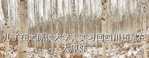 太原和四川哪里工資高,哪個地方的工資要高一點
