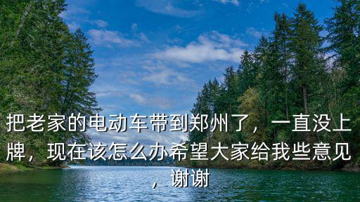 把老家的電動車帶到鄭州了，一直沒上牌，現在該怎么辦希望大家給我些意見，謝謝