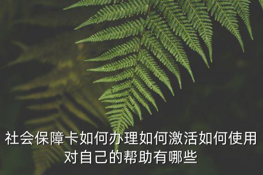 南陽社會保障卡怎么自己申辦,社會保障卡如何辦理