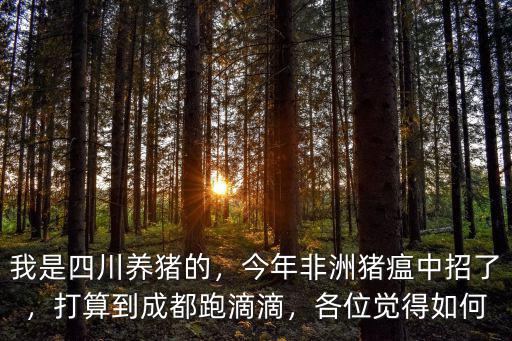 四川非洲豬瘟到哪里了,四川非洲豬瘟爆發