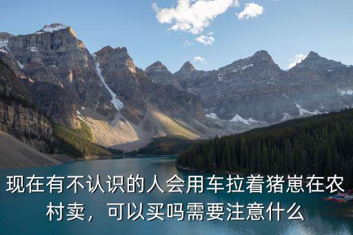 現在有不認識的人會用車拉著豬崽在農村賣，可以買嗎需要注意什么