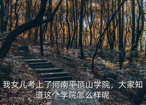 河南科技政法大學怎么樣,河南財經(jīng)政法大學怎么樣