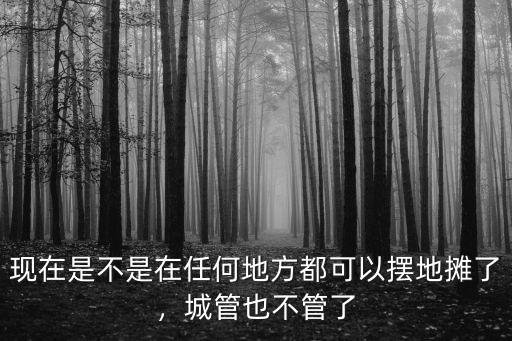 商丘哪里可以擺攤城管不管,聽說可以擺攤了