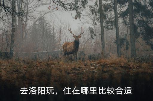 衛(wèi)??住在洛陽(yáng)哪里,在洛陽(yáng)玩住在哪里最方便