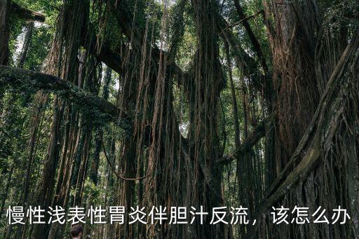 成都在哪里看膽汁反流性胃炎好,膽汁反流胃炎怎么治療比較好