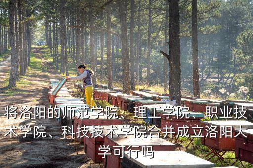 洛陽理工的高職怎么樣,將洛陽的師范學院