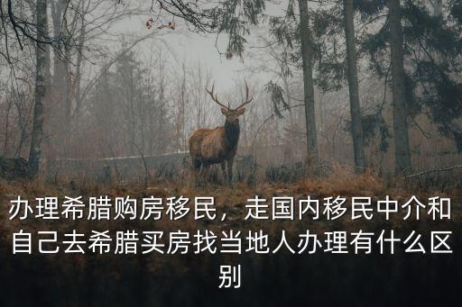 辦理希臘購房移民，走國內移民中介和自己去希臘買房找當地人辦理有什么區別