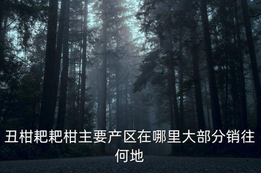 四川丑柑在哪里,哪里有丑柑苗出售