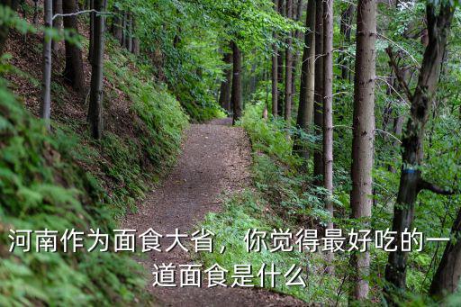 河南最好吃的面條在哪里,在河南哪里的饸饹面最正宗