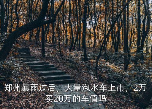 鄭州大雨被泡的車怎么辦,被泡過的車該怎么處理呢