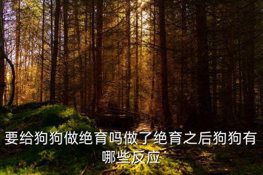 周口給母狗做絕育多少錢,要給狗狗做絕育嗎