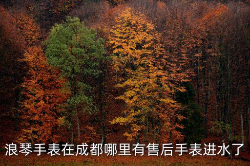 浪琴手表在成都哪里有售后手表進(jìn)水了