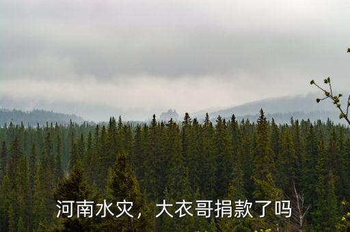 張一山捐款河南多少,河南洪災(zāi)你捐款了嗎