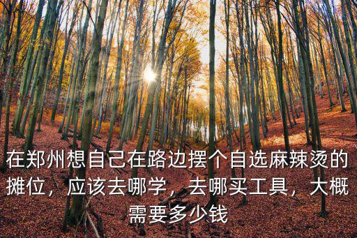 在鄭州擺攤?cè)ツ睦锝诲X,想在鄭州擺地攤