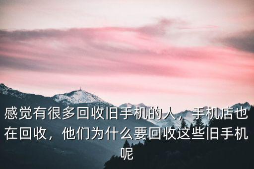 感覺有很多回收舊手機的人，手機店也在回收，他們為什么要回收這些舊手機呢