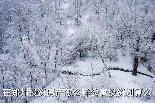 鄭州迎客公寓怎么樣,在鄭州投資房產怎么樣