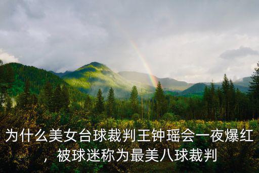 四川哪里可以考臺球裁判,臺球裁判怎么考
