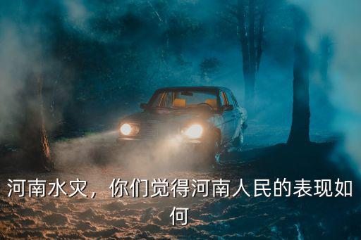 對于河南水災政府應該怎么做,應該怎么做呢