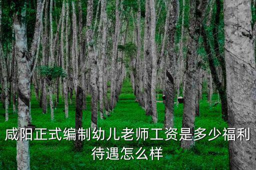 咸陽正式編制幼兒老師工資是多少福利待遇怎么樣