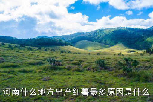 河南南陽紅薯產地在哪里,紅薯產地在哪里