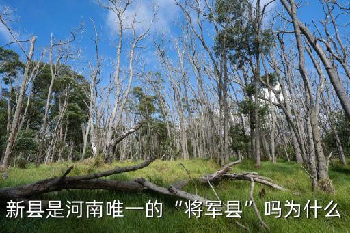 新縣是河南唯一的“將軍縣”嗎為什么