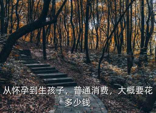 從懷孕到生孩子，普通消費，大概要花多少錢