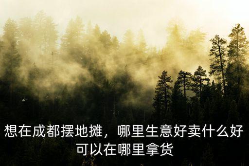 成都哪里可以擺攤賣手工面條,可以在哪里拿貨