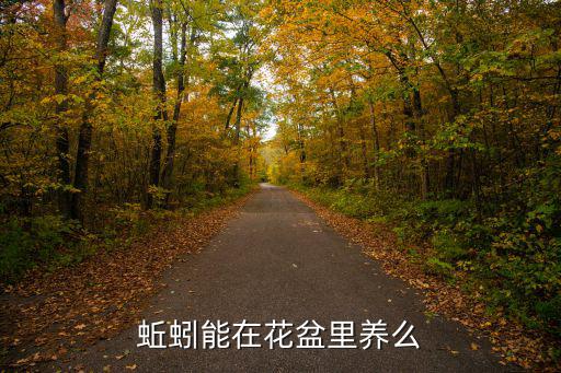 蚯蚓能在花盆里養么
