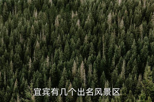 宜賓大觀在哪里,宜賓未來的城市中心在哪里